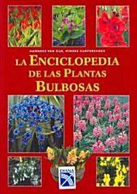 La enciclopedia de las plantas bulbosas/ Encyclopedia of Bulbs (Hardcover, Translation)