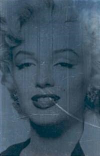 Silver Marilyn: Marilyn Monroe and the Camera (Hardcover)