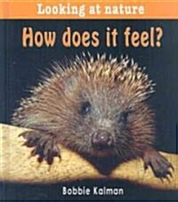 How Does It Feel? (Hardcover)