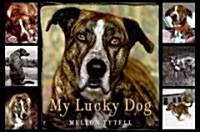 My Lucky Dog (Hardcover, 1st)
