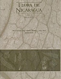 Flora de Nicaragua: Tomo IV, Helechos (Hardcover)