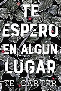 Te Espero En Alg? Lugar (Paperback)