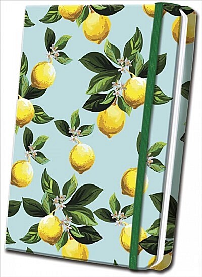 Citrus Satin Journal (Hardcover, JOU)