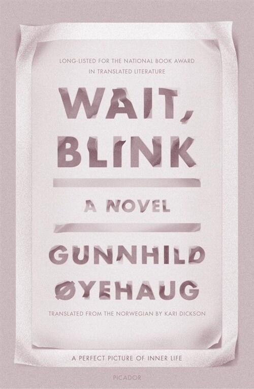 Wait, Blink: A Perfect Picture of Inner Life: A Novel (Paperback)