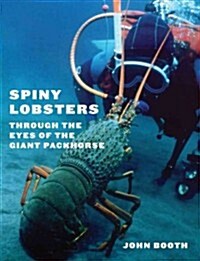 Spiny Lobsters: Through the Eyes of the Giant Packhorse (Paperback)