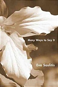 Many Ways to Say It (Paperback)