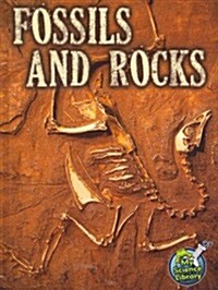 Fossils and Rocks (Hardcover)