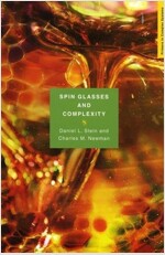 Spin Glasses and Complexity (Paperback)