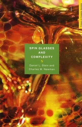 Spin Glasses and Complexity (Paperback)