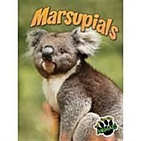 Marsupials (Paperback)