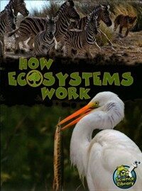 How Ecosystems Work (Paperback)