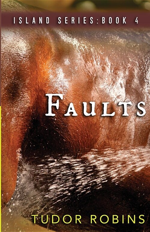 Faults: A story of family, friendship, summer love, and loyalty (Paperback)