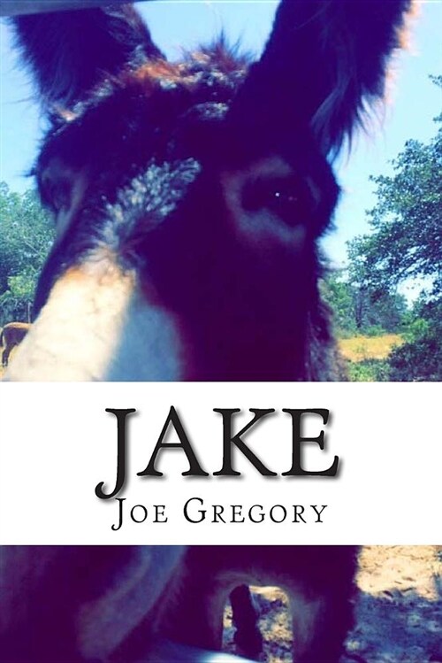 Jake (Paperback)