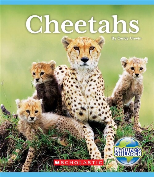[중고] Cheetahs (Natures Children) (Hardcover, Library)