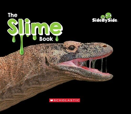 The Slime Book (Side by Side) (Paperback)