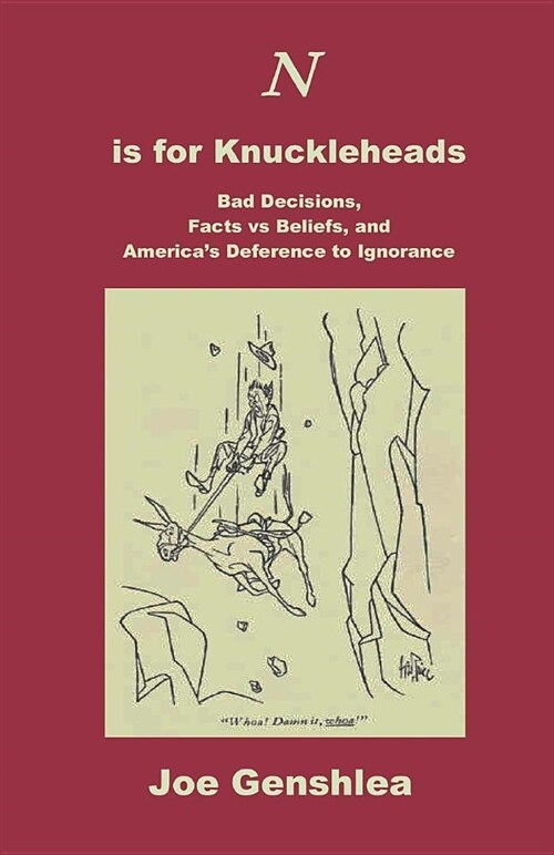 N Is for Knuckleheads: Bad Decisions, Facts Vs Beliefs, and Americas Deference to Ignorance (Paperback)