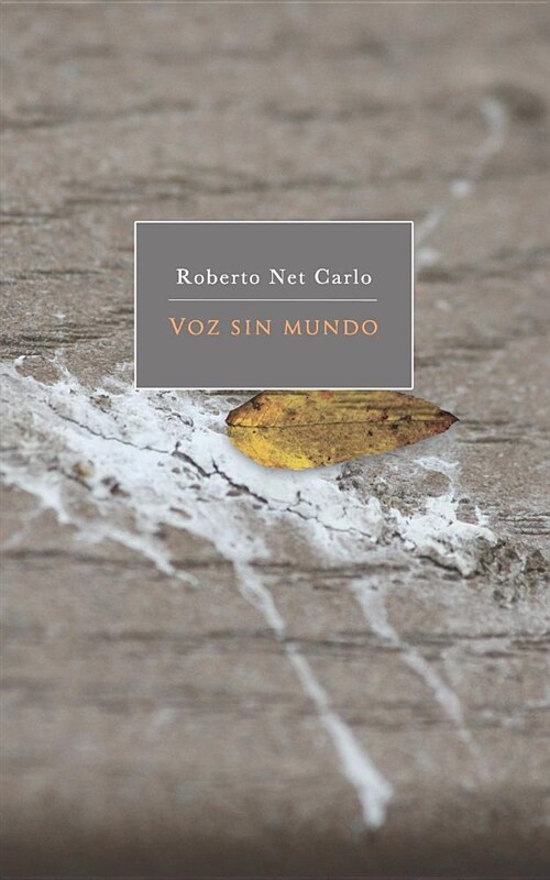 Voz Sin Mundo: Book of Poems (Paperback)