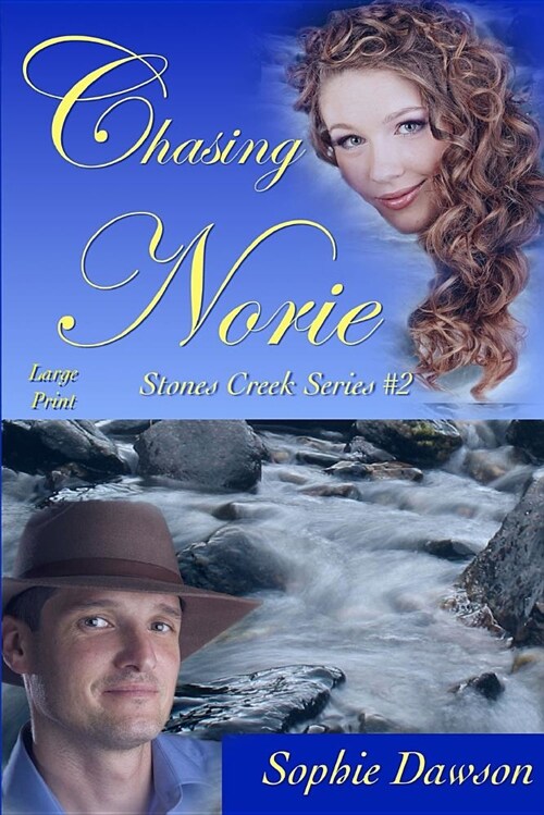 Chasing Norie: Large Print (Paperback)