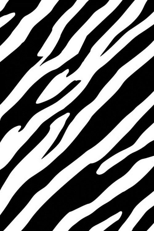 Zebra Stripes. Ruled Journal: 160 Lined / Ruled Pages, 6x9 Inch (15.24 X 22.86 CM) Soft Cover (Paperback)