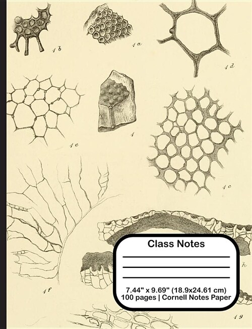 Class Notes (Paperback)