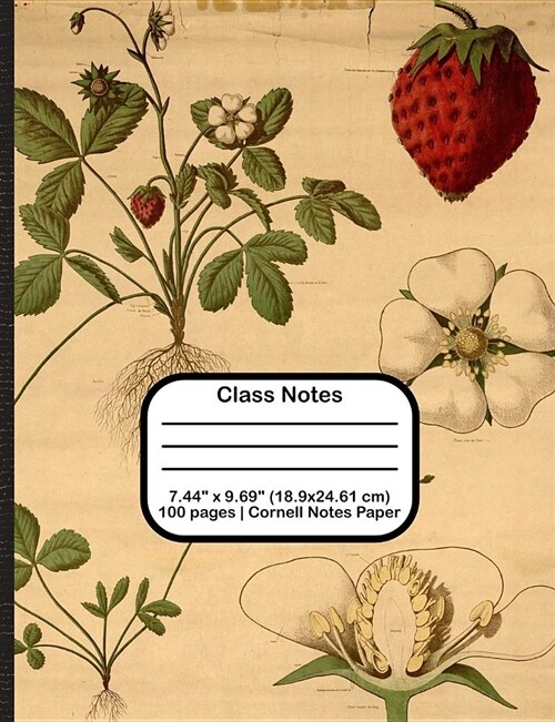 Class Notes (Paperback)