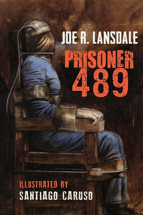 Prisoner 489 (Paperback)