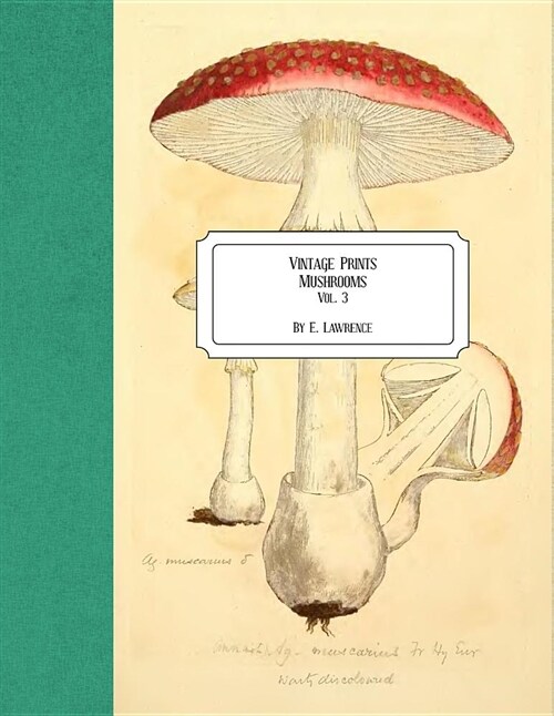 Vintage Prints: Mushrooms: Vol. 3 (Paperback)