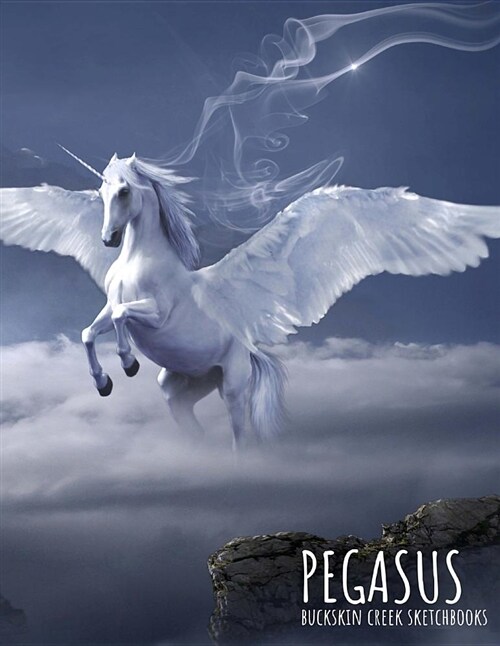 Sketchbook: Pegasus: 8.5 X 11 Inches - 200 Blank Pages with Borders (Paperback)