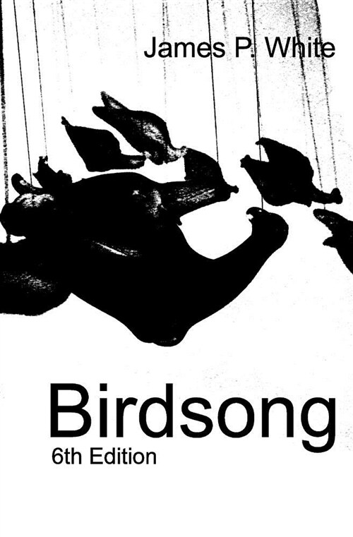 Birdsong (Paperback)