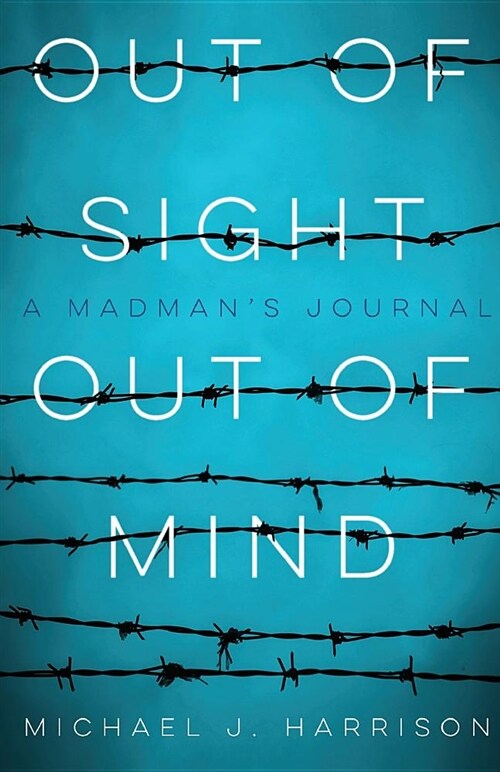 Out of Sight Out of Mind: A Madmans Journal (Paperback)