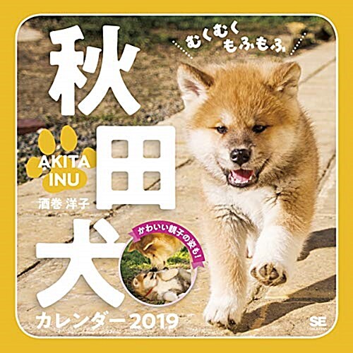 むくむくもふもふ秋田犬カレンダ (2019) (A4)