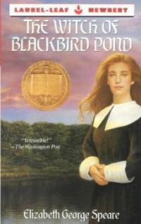 (The)witch of blackbird pond