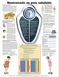 Maintaining a Healthy Weight Anatomical Chart / Manteniendo Un Peso Saludable (Chart, 1st)