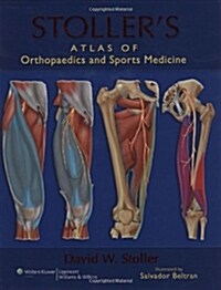 [중고] Stoller‘s Atlas of Orthopaedics and Sports Medicine (Hardcover)