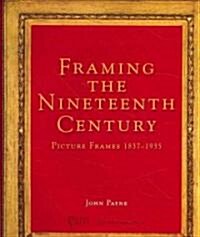 Framing the Ninteenth Century (Hardcover)