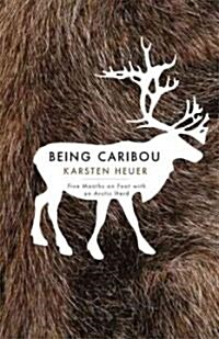 Being Caribou: Five Months on Foot with an Arctic Herd (Paperback)