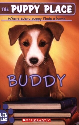 [중고] Buddy (Paperback)