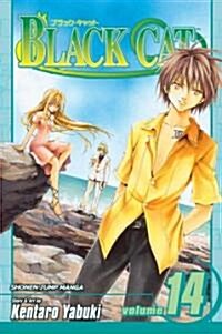 Black Cat, Vol. 14, 14 (Paperback)