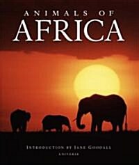 Animals of Africa (Hardcover)