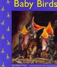 Baby Birds (Paperback)