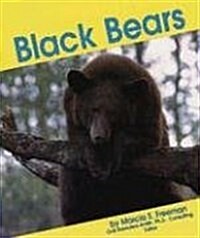 Black Bears (Paperback)