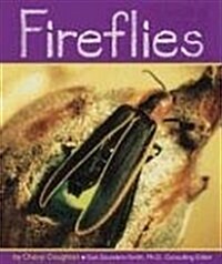 Fireflies (Paperback)