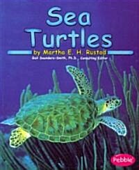 Sea Turtles (Paperback)