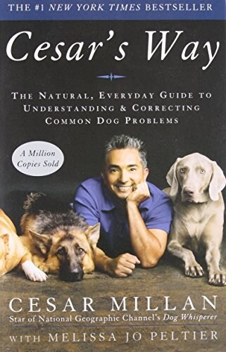 [중고] Cesars Way: The Natural, Everyday Guide to Understanding and Correcting Common Dog Problems (Paperback)