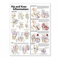Hip and Knee Inflammations Anatomical Chart (Other, 2)