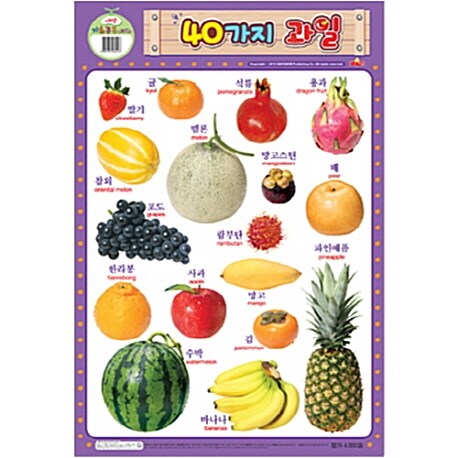 40가지 과일 (벽보)