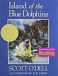 [중고] Houghton Mifflin Reading: The Nations Choice: Theme Paperbacks Challenge Level Theme 2 Grade 5 Island of the Blue Dolphins (Paperback)