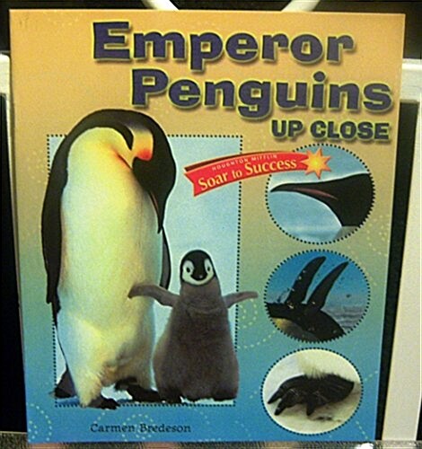 Houghton Mifflin Reading Intervention: Soar to Success Student Book Level 3 Wk 5 Emperor Penguins Up Close (Paperback)
