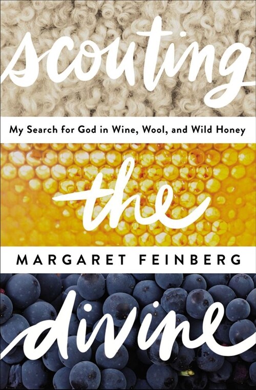 Scouting the Divine: Searching for God in Wine, Wool, and Wild Honey (Paperback)