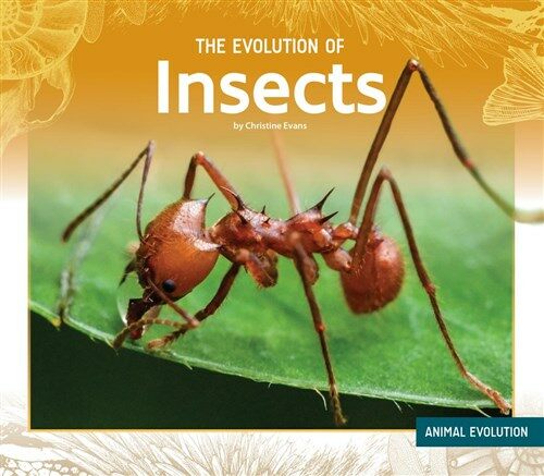 The Evolution of Insects (Library Binding)